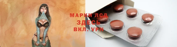 стаф Алексин